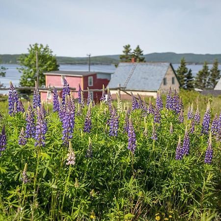 George House Heritage Bed And Breakfast Dildo Екстериор снимка