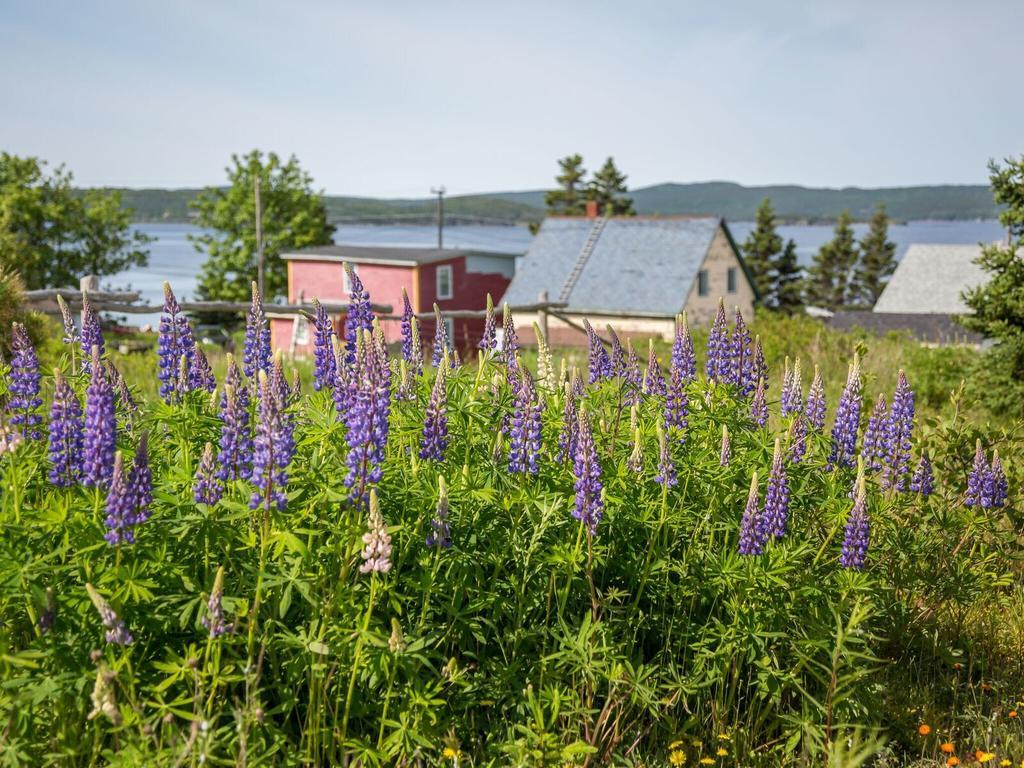 George House Heritage Bed And Breakfast Dildo Екстериор снимка